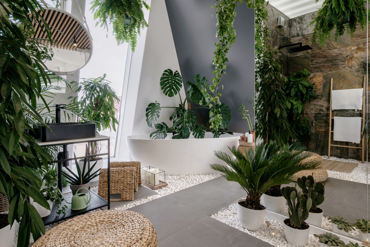 Interior design in urban jungle style. Modern bathroom decorated with green tropical plants and wicker home decor elements. Freestanding white tub, shower space and wash basin inside bohemian restroom