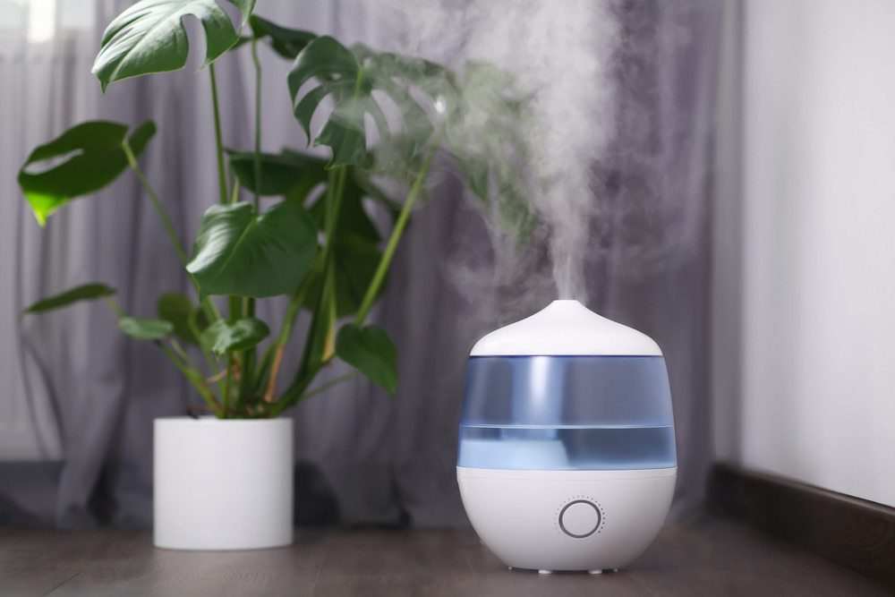 Humidifier next to a Monstera