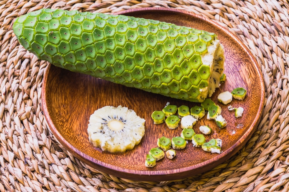 Monstera Deliciosa fruit