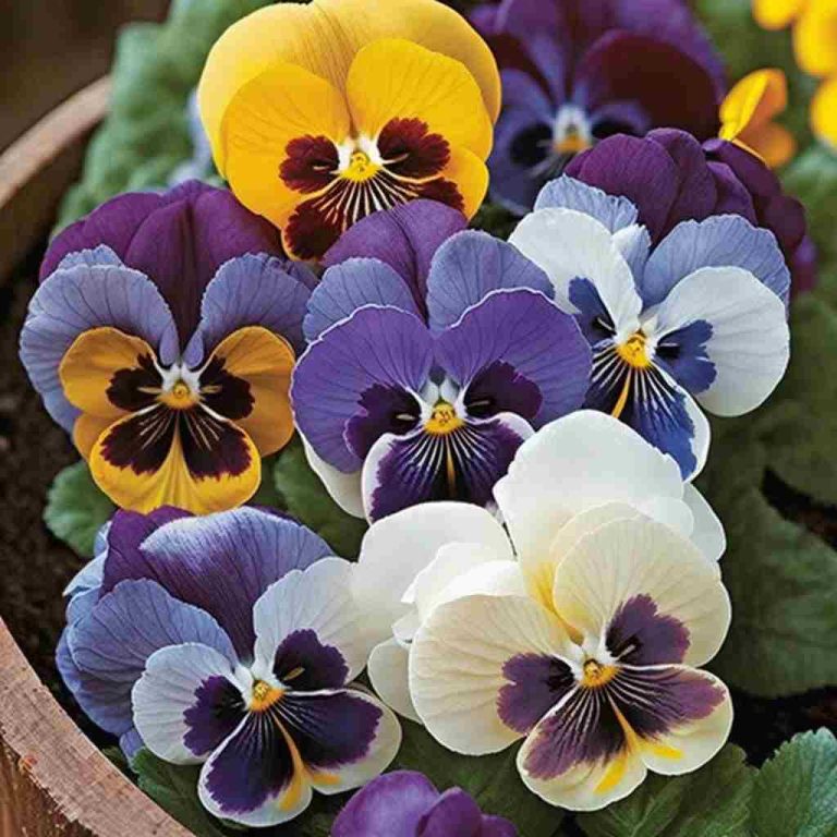 10 Flowers That Represent The Past Evoking Nostalgia Foliage Friend Learn About Different