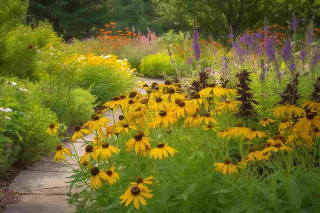 10 Beautiful Oklahoma Flower Bed Ideas to Enhance Your Landscape Foliage Friend Learn About