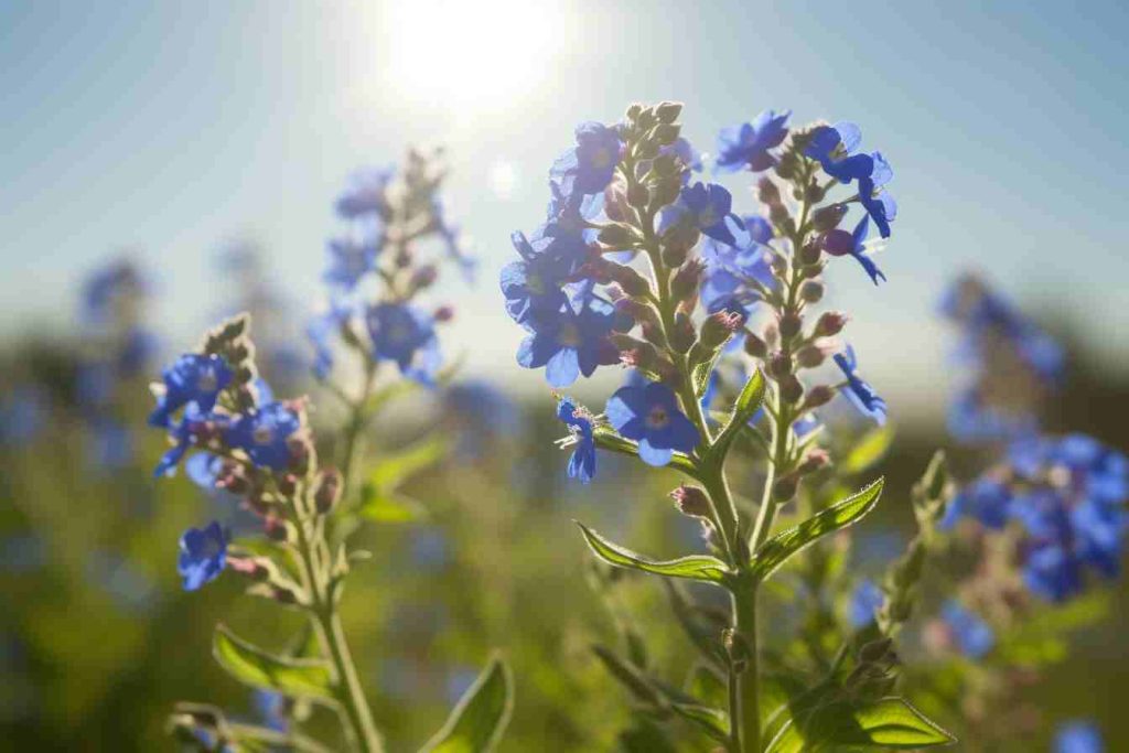 50 Perennial Flowers That Grow in Shade: Stunning Picks for Your Shady ...