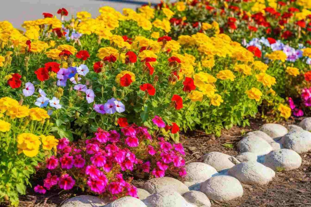 10 Flower Bed Ideas Around Patio That Will Take Outdoor Living to the