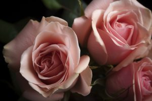 10 Flowers That Represent Art: Blossoming Creativity - Foliage Friend ...