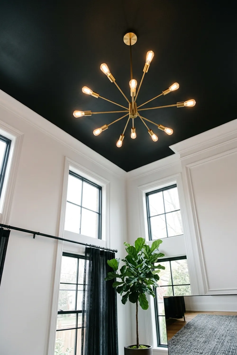 Dramatic Black Ceiling Feature